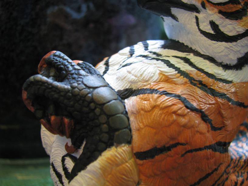 Tiger Griffin for Wild Animal Sanctuary  talon detail 